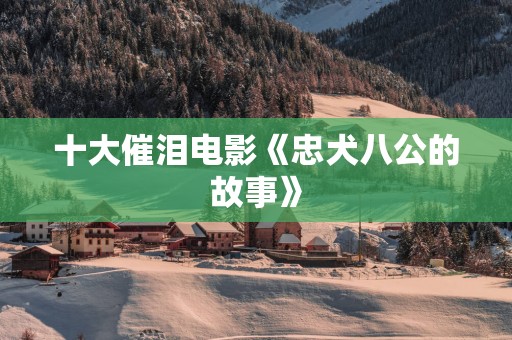十大催泪电影《忠犬八公的故事》