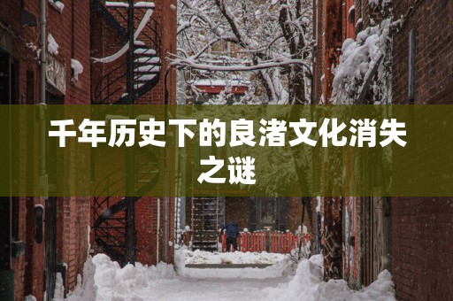 千年历史下的良渚文化消失之谜