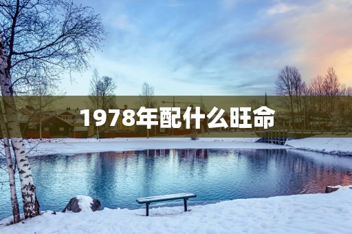 1978年配什么旺命