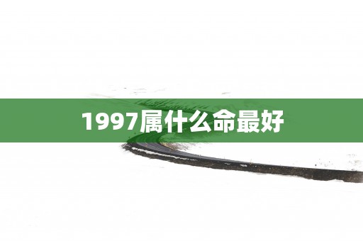1997属什么命最好
