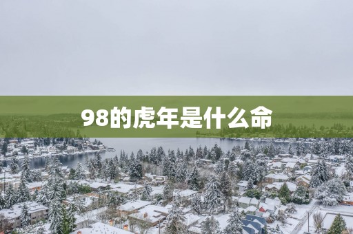 98的蛇年是什么命