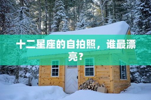 十二星座的自拍照，谁最漂亮？