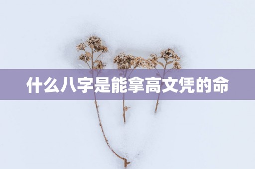 什么八字是能拿高文凭的命