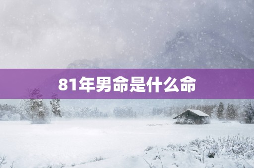 81年男命是什么命