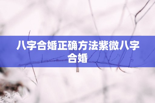 八字合婚正确方法紫微八字合婚