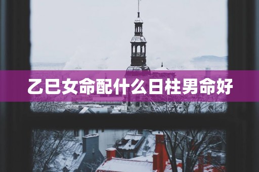 乙巳女命配什么日柱男命好