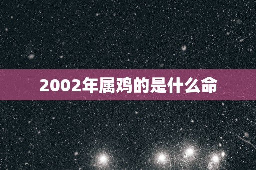 2002年属鸡的是什么命