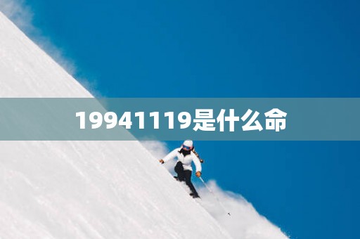 19941119是什么命