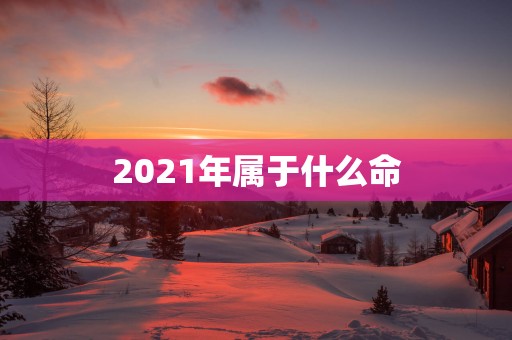 2021年属于什么命