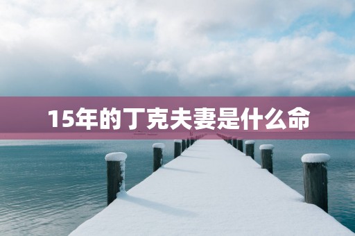 15年的丁克夫妻是什么命