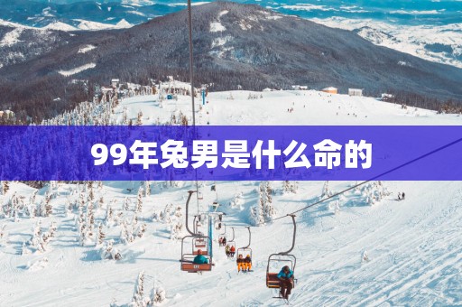 99年兔男是什么命的