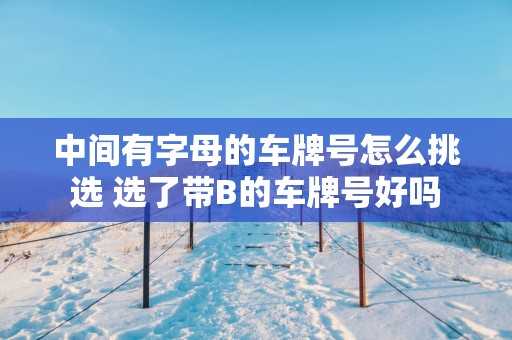中间有字母的车牌号怎么挑选 选了带B的车牌号好吗
