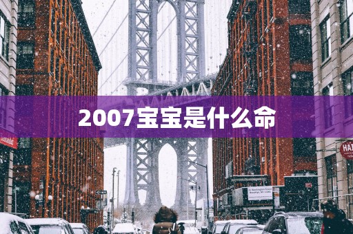 2007宝宝是什么命