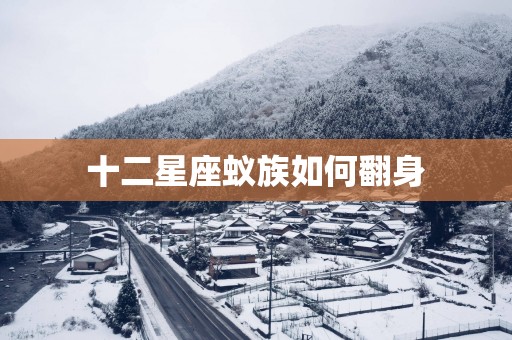 十二星座蚁族如何翻身