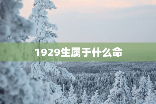 1929生属于什么命