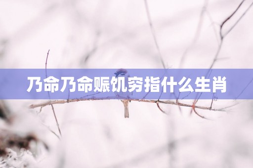 乃命乃命赈饥穷指什么生肖
