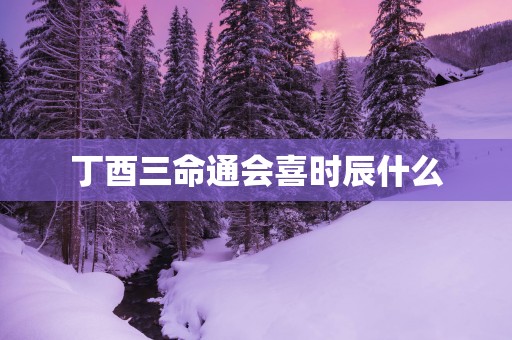 丁酉三命通会喜时辰什么