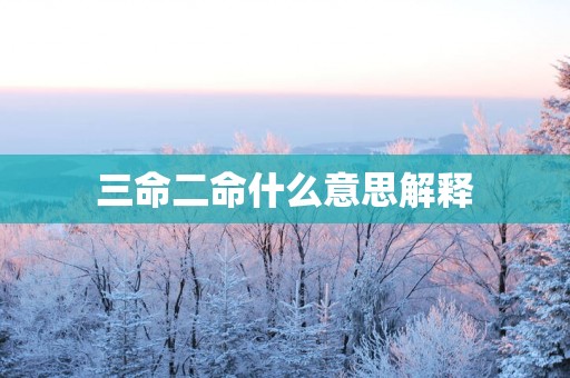 三命二命什么意思解释