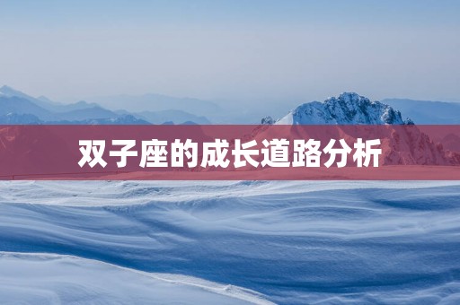 双子座的成长道路分析
