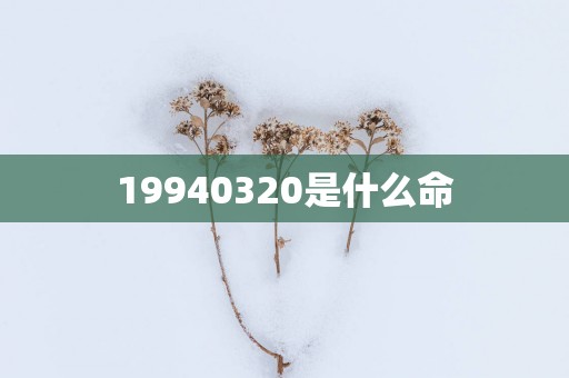 19940320是什么命