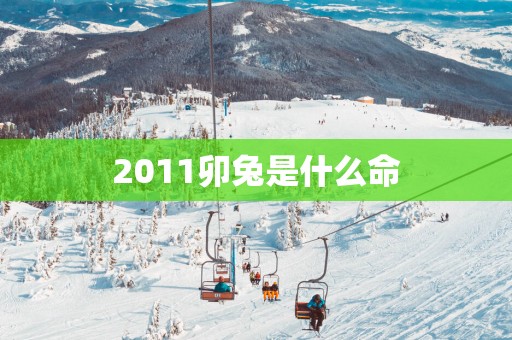 2011卯兔是什么命
