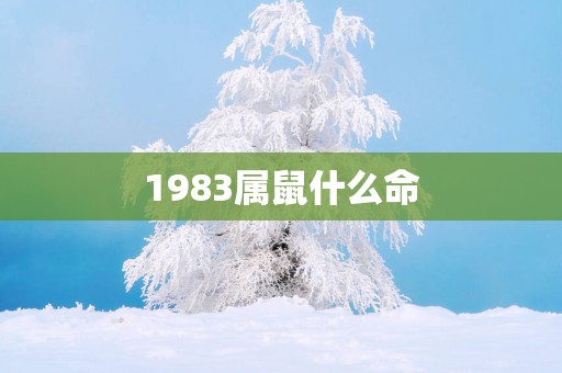 1983属鼠什么命