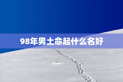 98年男土命起什么名好