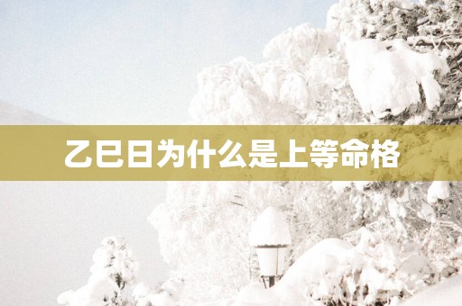 乙巳日为什么是上等命格