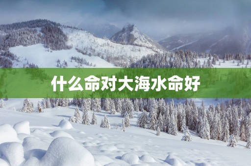 什么命对大海水命好
