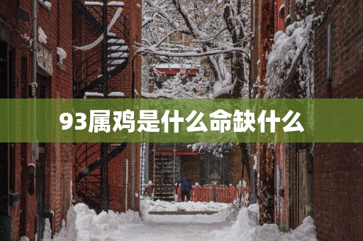 93属鸡是什么命缺什么