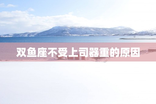 双鱼座不受上司器重的原因
