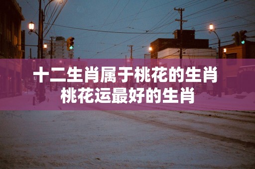十二生肖属于桃花的生肖 桃花运最好的生肖