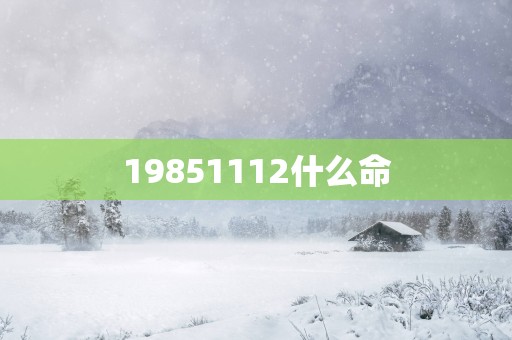 19851112什么命