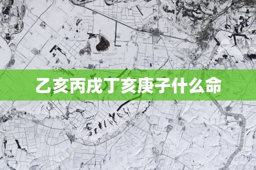 乙亥丙戌丁亥庚子什么命