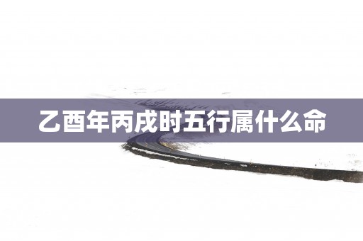 乙酉年丙戌时五行属什么命