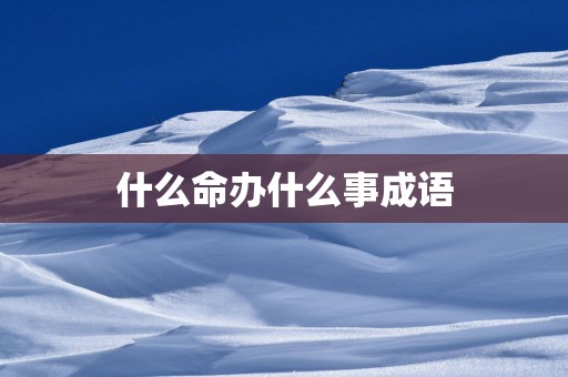 什么命办什么事成语