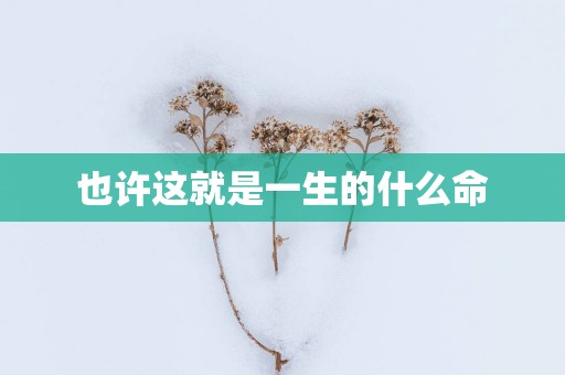也许这就是一生的什么命