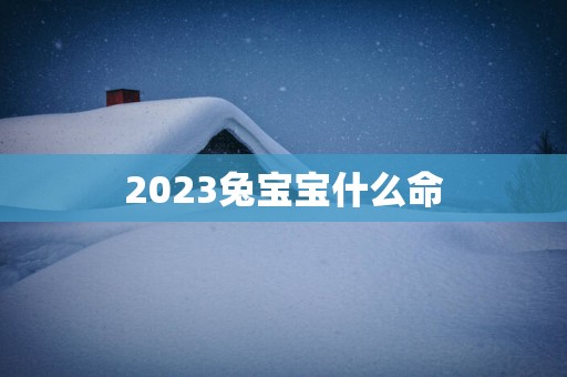 2025兔宝宝什么命
