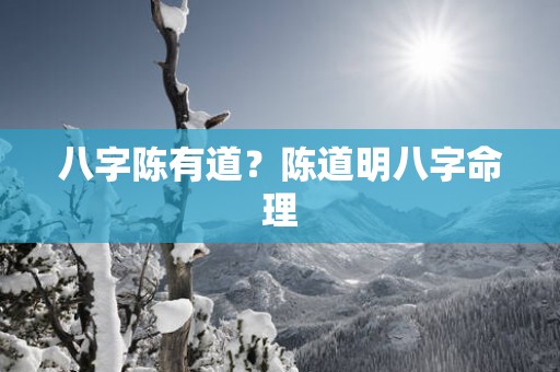 八字陈有道？陈道明八字命理
