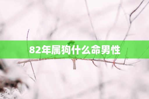 82年属狗什么命男性