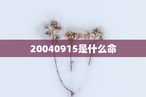 20040915是什么命
