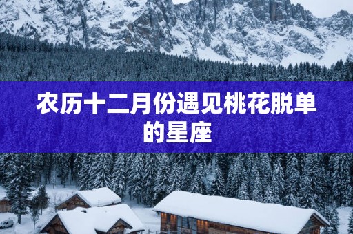 农历十二月份遇见桃花脱单的星座