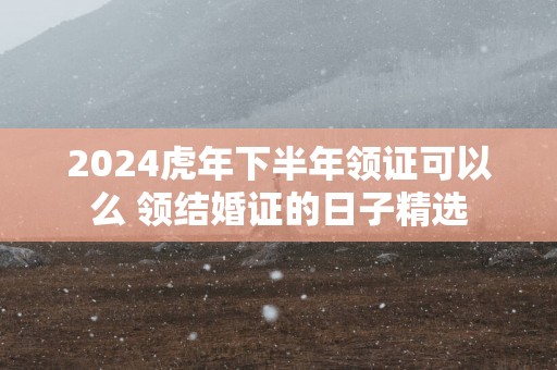 2025蛇年下半年领证可以么 领结婚证的日子精选