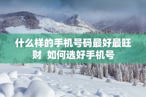 什么样的手机号码最好最旺财  如何选好手机号