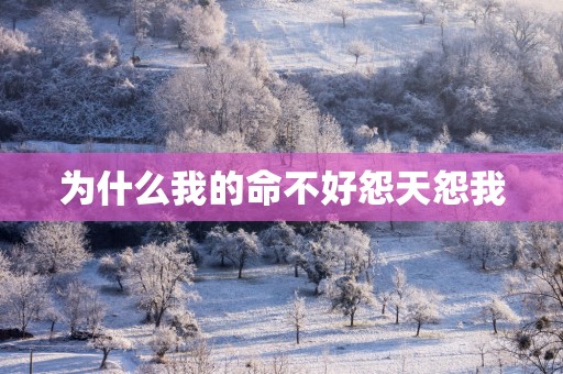 为什么我的命不好怨天怨我
