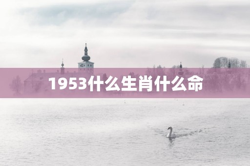 1953什么生肖什么命