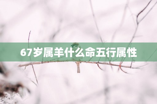 67岁属羊什么命五行属性
