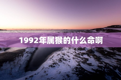 1992年属猴的什么命啊