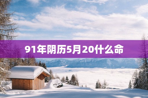 91年阴历5月20什么命
