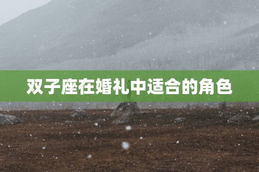 双子座在婚礼中适合的角色